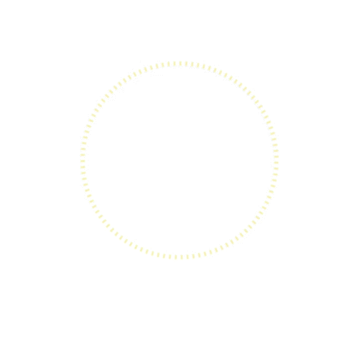 Motion design logo seul