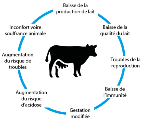 consequences negatives stress thermique