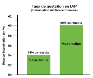 Capture d'écran 2025 04 14 145744