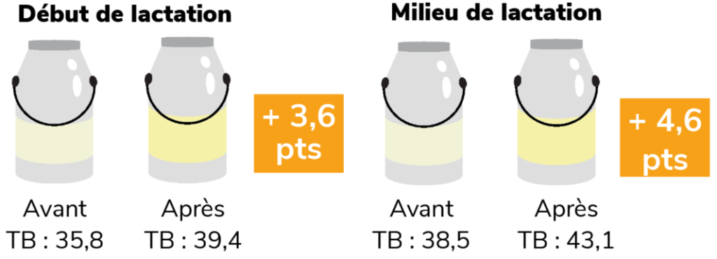 Capture d'écran 2025 09 08 122608